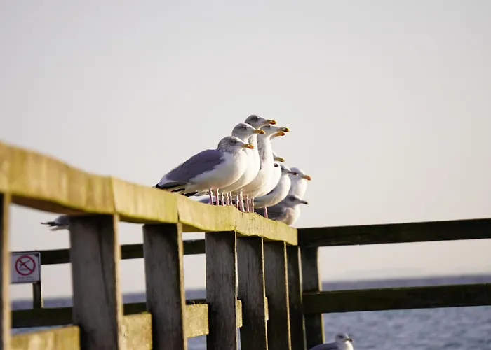 Fewo Suite Spaltsberg Am Binnenwasser